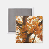 Aimant Feuilles d'automne (Recto/Verso)