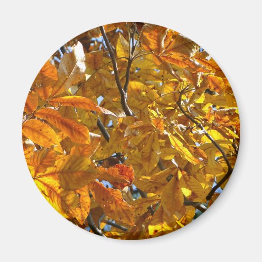 Aimant Feuilles d'automne Cadeaux dorés Vêtements Article (Devant)