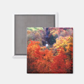 Aimant Feuilles d'automne changeant de couleur (Recto/Verso)