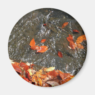 Aimant Feuilles d'automne dans la cascade I Photographie 