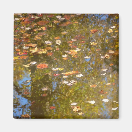 Aimant Feuilles d'automne et réflexion sur le cours d'eau (Devant)
