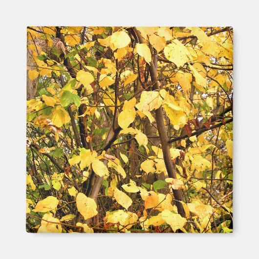 AIMANT FEUILLES D'AUTOMNE JAUNE (Devant)