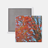 Aimant Feuilles d'automne rouges (Recto/Verso)