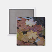 Aimant feuilles d'automne tout autour (Recto/Verso)