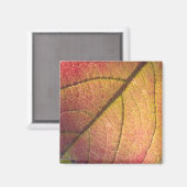 Aimant Feuilles de automne jaunes et rouges (Recto/Verso)