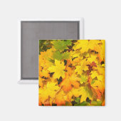 Aimant Feuilles de l'érable d'automne aux couleurs d'auto (Recto/Verso)