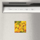 Aimant Feuilles de l'érable d'automne aux couleurs d'auto (In Situ (Lave-vaisselle))