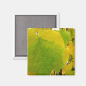 Aimant Feuilles de redbud jaunes et vertes (Recto/Verso)