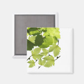 Aimant Feuilles de vigne verte (Recto/Verso)