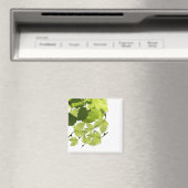 Aimant Feuilles de vigne verte (In Situ (Lave-vaisselle))