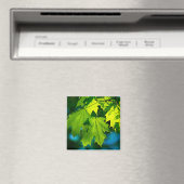 Aimant Feuilles d'érable vert frais (In Situ (Lave-vaisselle))