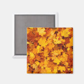 Aimant Feuilles d'été indiens (Recto/Verso)