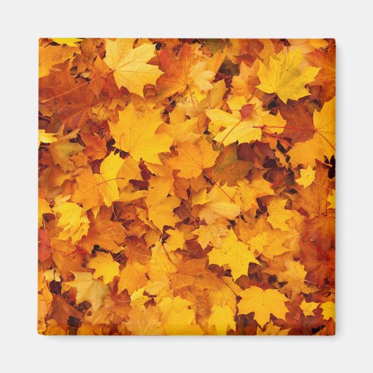 Aimant Feuilles d'été indiens (Devant)