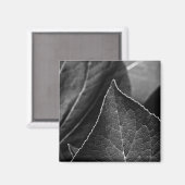 Aimant feuilles étant (Recto/Verso)
