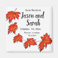 Feuilles rouges, feuilles d'érable, couleurs d'aut