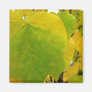 Aimant Feuilles rouges jaunes et verts