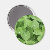 Aimant Feuilles shamrock Clover (Recto/Verso)