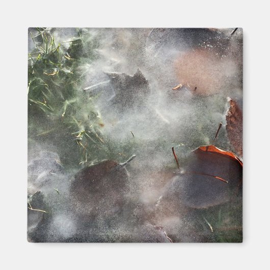 Aimant feuilles sous la glace (Devant)