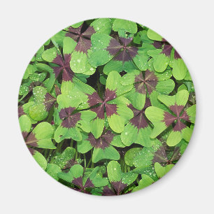 Aimant Feuilles verts