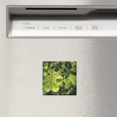 Aimant Feuilles verts à sept points avec éclairage solair (In Situ (Lave-vaisselle))