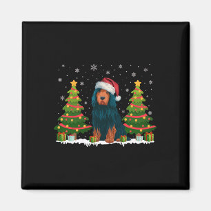 Aimant Feux de Noël Portugais Chien d'eau Santa Hat Noël