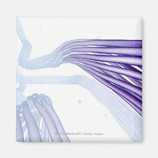 Aimant Fibres nerveuses stylisées (Devant)