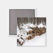 Aimant Fichier journal dans l'aimant Woods (Recto/Verso)