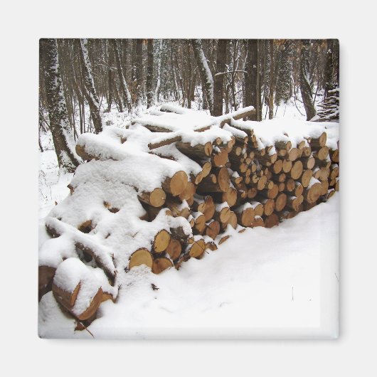 Aimant Fichier journal dans l'aimant Woods (Devant)