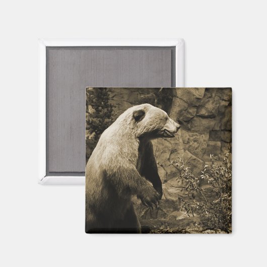 Aimant Fière Ours (Recto/Verso)