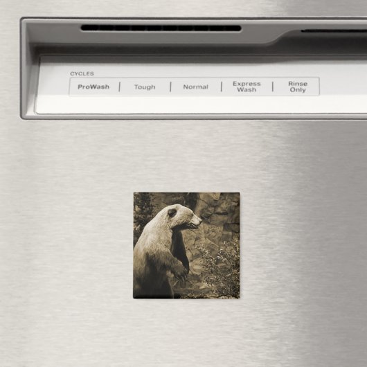 Aimant Fière Ours (In Situ (Lave-vaisselle))