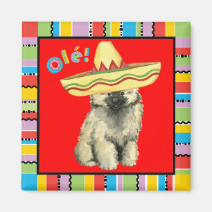 Aimant Fiesta Keeshond