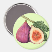 Aimant Fig (Recto/Verso)