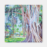 Figue de Banyan à Waimea Plantation Cottages
