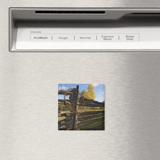 Aimant Fil Barbe (In Situ (Lave-vaisselle))