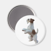 Aimant fil cheveux fox terrier (Recto/Verso)