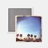 Aimant Filtre rétro Palm Trees (Recto/Verso)