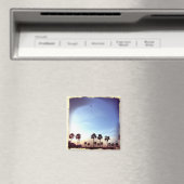 Aimant Filtre rétro Palm Trees (In Situ (Lave-vaisselle))