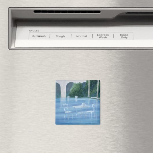 Aimant Fin lente (In Situ (Lave-vaisselle))