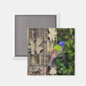 Aimant finch-1-feb5-06 (Recto/Verso)