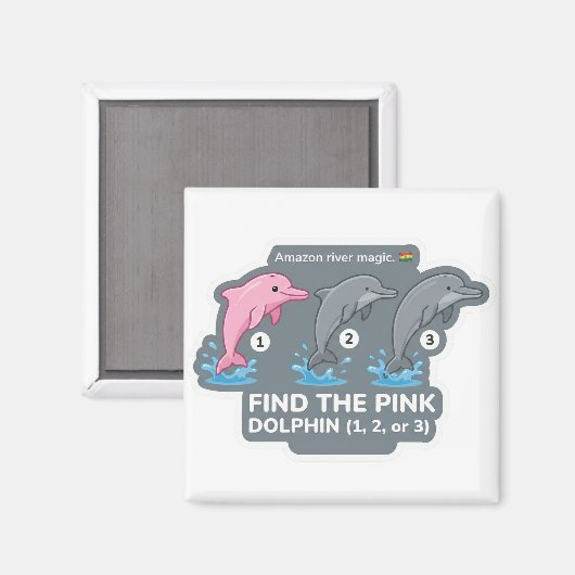 Aimant Find the Pink Dolphin Animal World Quest for Toddl (Recto/Verso)