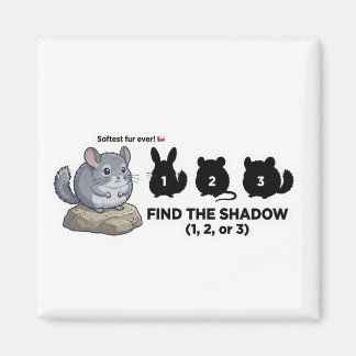Aimant Find the Shadow Chinchilla Animal World Quest for 