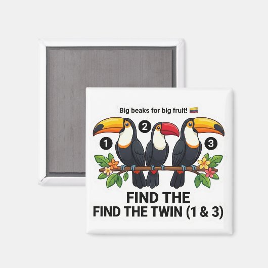 Aimant Find The Twin: Toucan Colombia Educational Matchin (Recto/Verso)