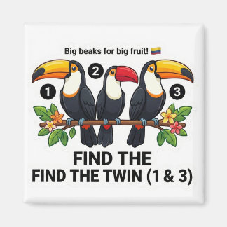 Aimant Find The Twin: Toucan Colombia Educational Matchin