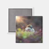 Aimant Finition bain soleil (Recto/Verso)