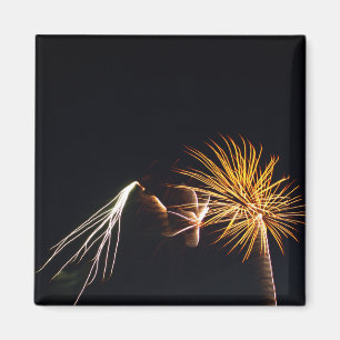 Aimant Fireworks P0538