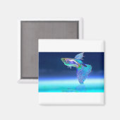 Aimant fish-2358741_1920 (Recto/Verso)