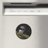 Aimant Fisher Puffin (In Situ (Lave-vaisselle))