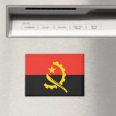 AIMANT FLAG (In Situ (Lave-vaisselle))