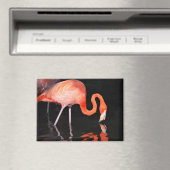Aimant Flamant (In Situ (Lave-vaisselle))