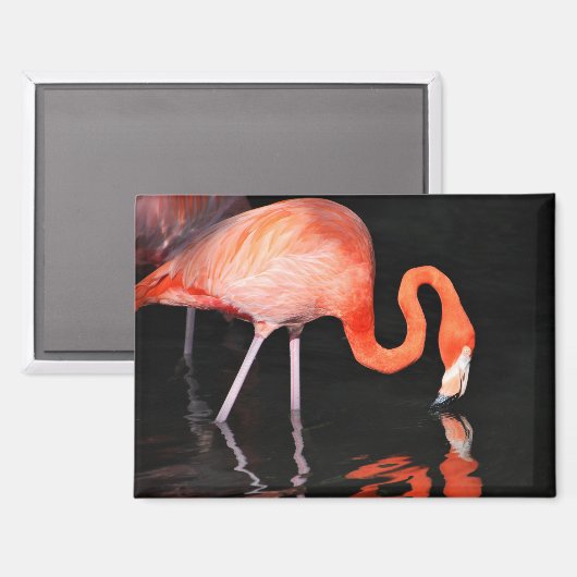 Aimant Flamant (Recto/Verso)